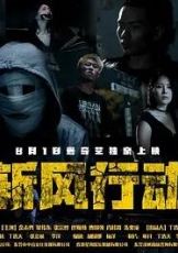 斩风行动