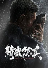 精武陈真