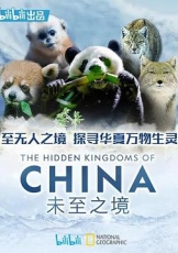 未至之境