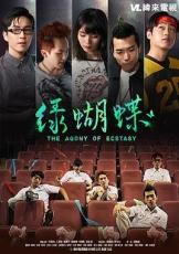 绿蝴蝶