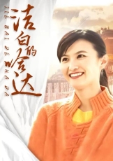 洁白的哈达