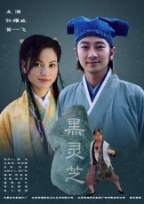 黑灵芝