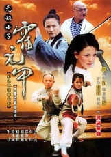 无敌小子霍元甲