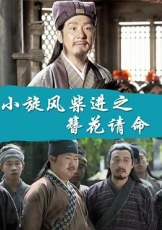 小旋风柴进之簪花请命