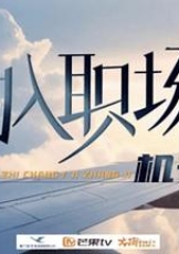 初入职场·机长季