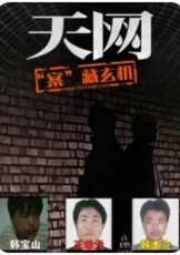 天网：“案”藏玄机