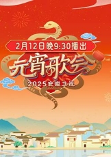 安徽卫视元宵晚会